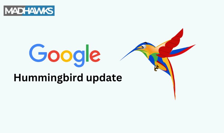 Google Hummingbird Update: Decoded With Its Impact in SEO